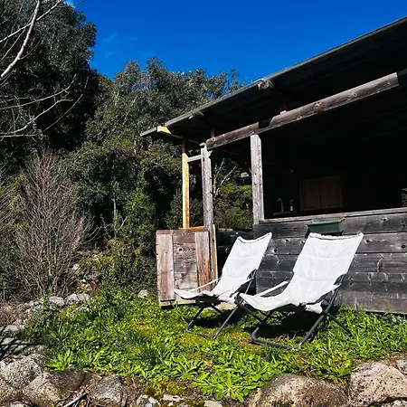 Cabane Olivese Extérieur photo